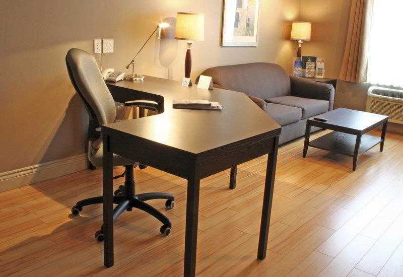 Best Western Plus Moncton Room photo